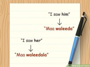 presentation meaning in pashto
